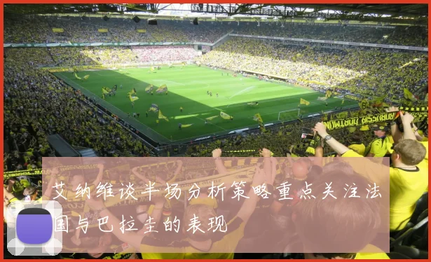 艾纳维谈半场分析策略重点关注法国与巴拉圭的表现