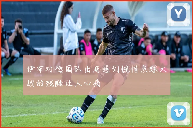 伊布对德国队出局感到惋惜点球大战的残酷让人心痛
