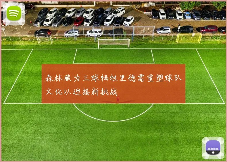 森林狼为三球牺牲里德需重塑球队文化以迎接新挑战