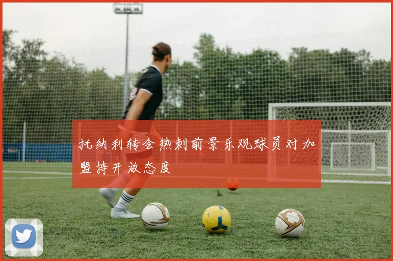 托纳利转会热刺前景乐观球员对加盟持开放态度