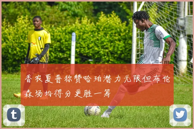 香农夏普称赞哈珀潜力无限但布伦森场均得分更胜一筹