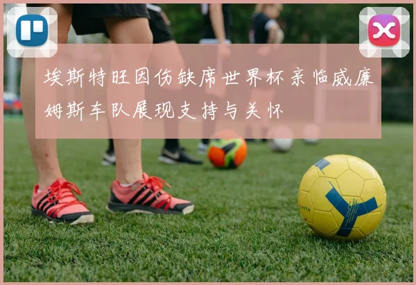 埃斯特旺因伤缺席世界杯亲临威廉姆斯车队展现支持与关怀